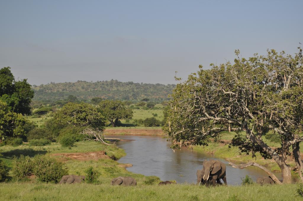 Kaiti Elephant Rock Luxury Camp Tarangire מראה חיצוני תמונה